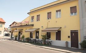 Il Ragno D'Oro